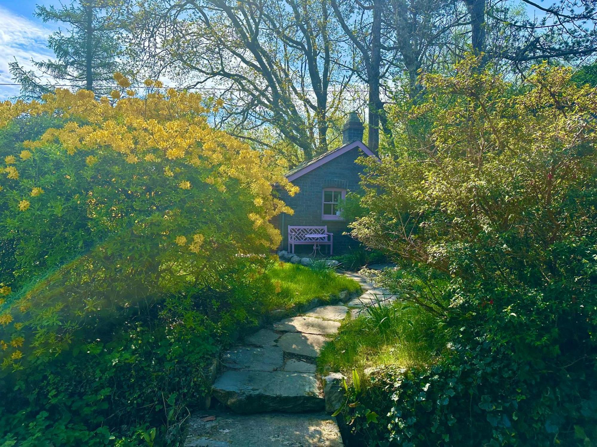 Tiny Romantic Retreat With Hot Tub On A Country Estate Near Cardigan Bay In Eryri Snowdonia Llanbedr  Eksteriør bilde